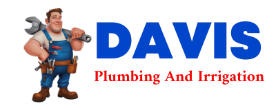 Trusted plumber in DWARF